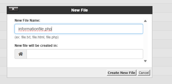 Create informationfile.php within file manager